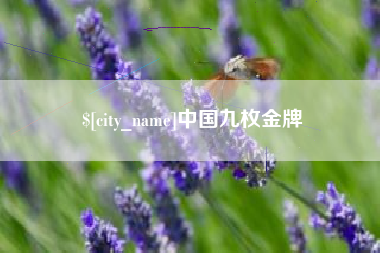 新安中国九枚金牌