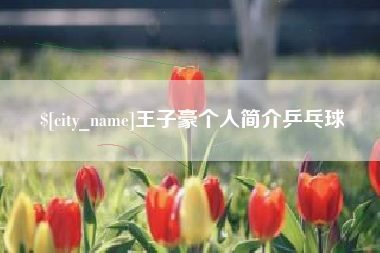 新安王子豪个人简介乒乓球