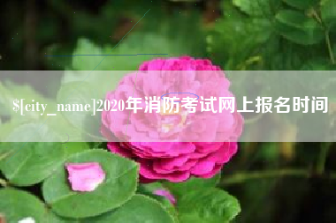 新安2020年消防考试网上报名时间