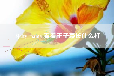 新安看看王子豪长什么样