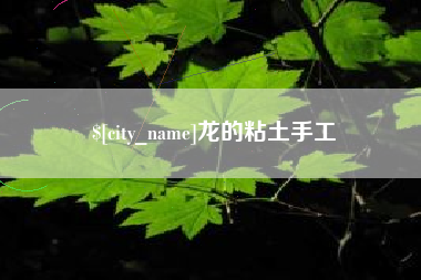 新安龙的粘土手工