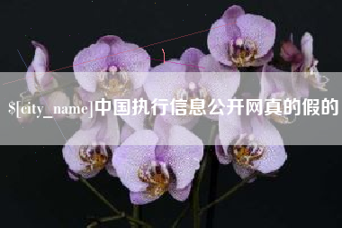 新安中国执行信息公开网真的假的