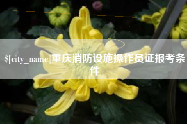 新安重庆消防设施操作员证报考条件
