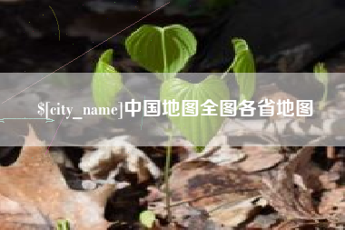 新安中国地图全图各省地图