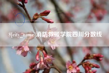 新安消防救援学院四川分数线