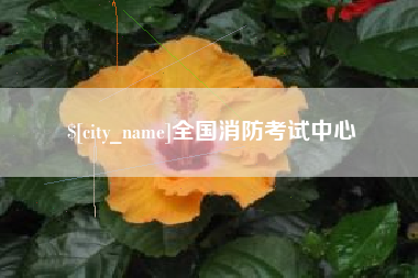 新安全国消防考试中心