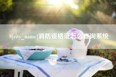 新安消防资格证怎么查询系统