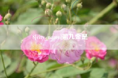 新安第九金是