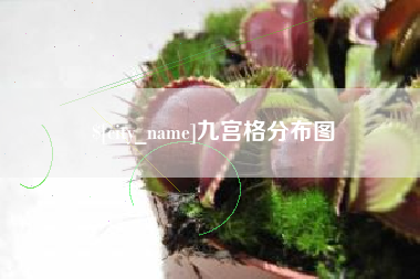 新安九宫格分布图