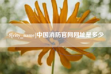 新安中国消防官网网址是多少