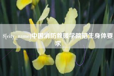 新安中国消防救援学院招生身体要求