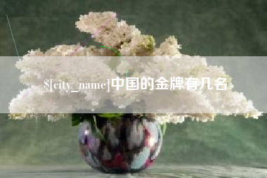 新安中国的金牌有几名