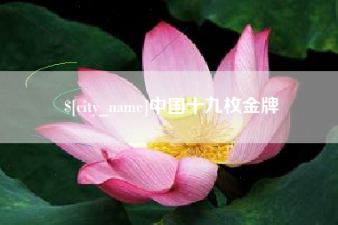 新安中国十九枚金牌