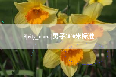 新安男子5000米标准