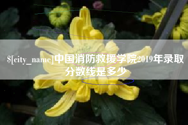 新安中国消防救援学院2019年录取分数线是多少