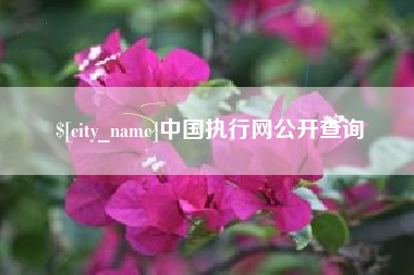 新安中国执行网公开查询