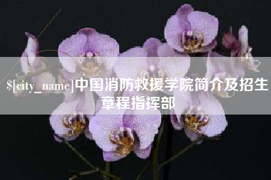 新安中国消防救援学院简介及招生章程指挥部