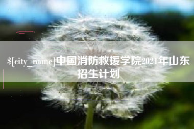 新安中国消防救援学院2021年山东招生计划