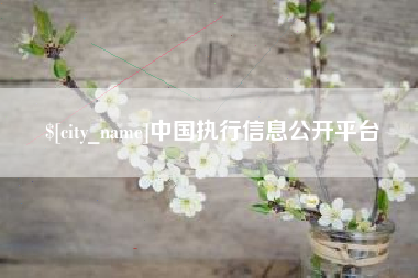 新安中国执行信息公开平台