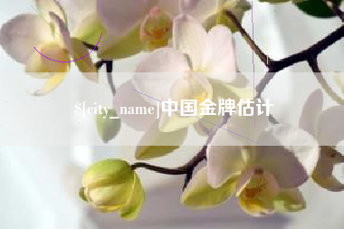 新安中国金牌估计
