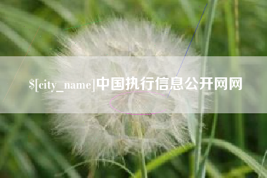 新安中国执行信息公开网网