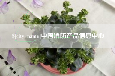新安中国消防产品信息中心