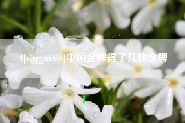 新安中国金牌得了几枚金牌