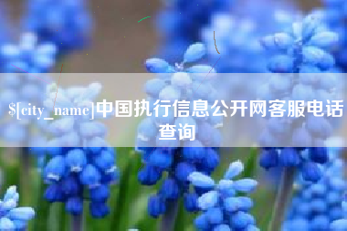 新安中国执行信息公开网客服电话查询