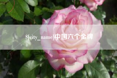新安中国六个金牌