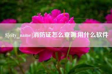 新安消防证怎么查询,用什么软件