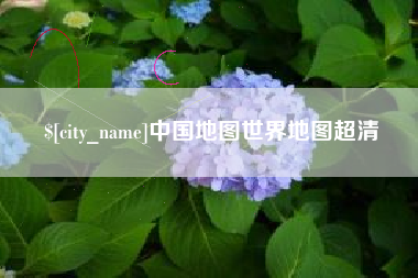 新安中国地图世界地图超清