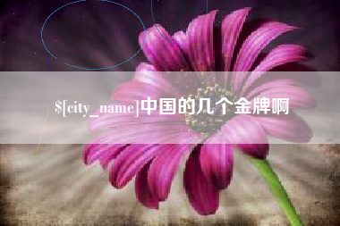 新安中国的几个金牌啊