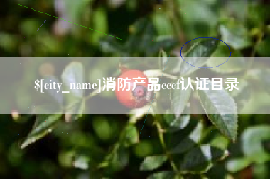 新安消防产品cccf认证目录