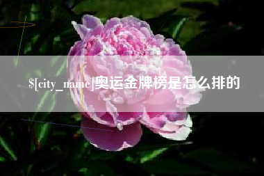 新安奥运金牌榜是怎么排的