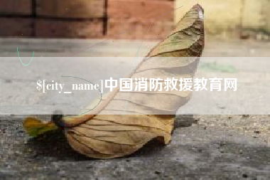 新安中国消防救援教育网