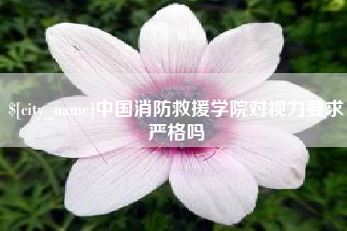 新安中国消防救援学院对视力要求严格吗
