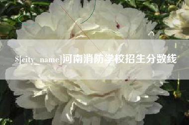 新安河南消防学校招生分数线