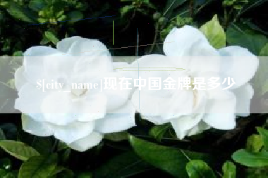新安现在中国金牌是多少