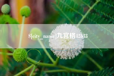 新安九宫格42633