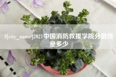 新安2021中国消防救援学院分数线是多少