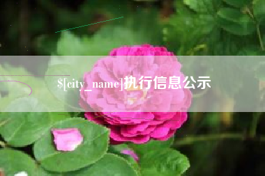 新安执行信息公示
