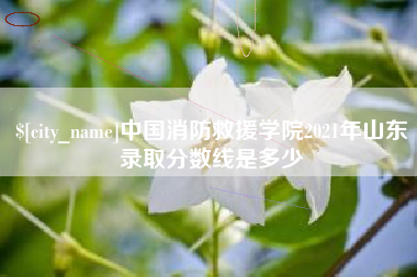 新安中国消防救援学院2021年山东录取分数线是多少