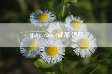 新安成都 消防