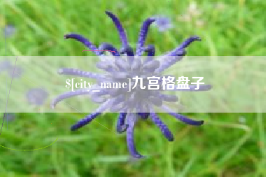 新安九宫格盘子