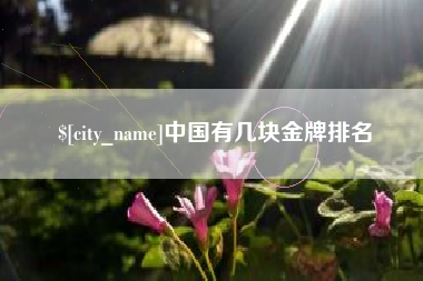 新安中国有几块金牌排名