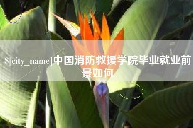新安中国消防救援学院毕业就业前景如何