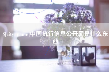 新安中国执行信息公开网是什么东西