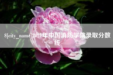 新安2021年中国消防学院录取分数线