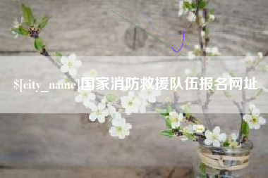 新安国家消防救援队伍报名网址