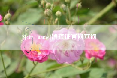 新安消控证官网查询